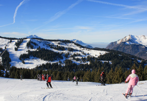 Adobestock 1724494907