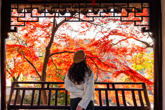 A woman looking out at autumn foliage in China