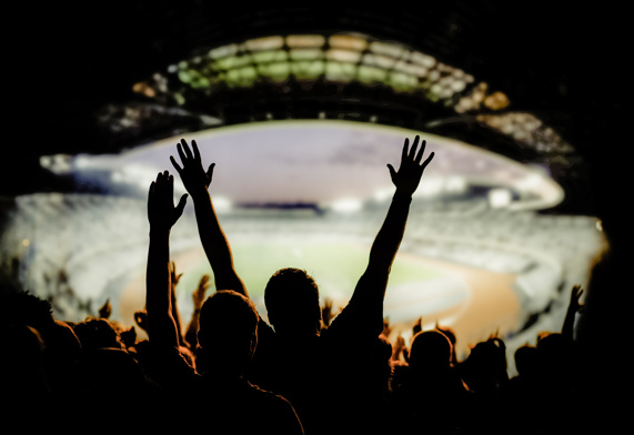 Football fans cheering in a world stadium
