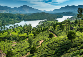 Adobestock 254964343