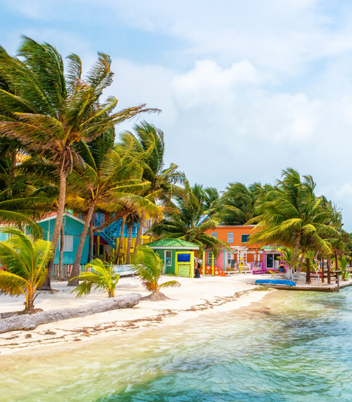 Caye Caulker Colors