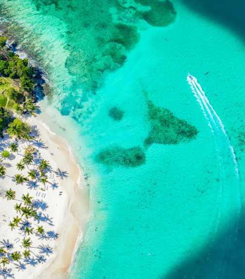 Aerial drone view of beautiful caribbean tropical island Cayo Levantado beach with palms and boat. Bacardi Island, Dominican Republic.