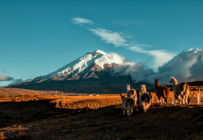Adobestock 351760710